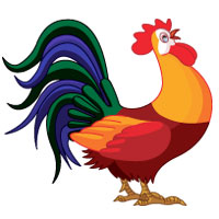 Rooster