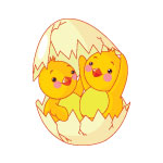 Chickens
