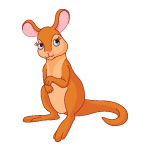 Kangaroo