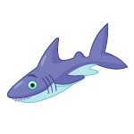Shark