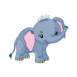 Baby Elephant